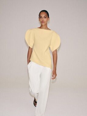 Zara Pale Yellow Sculpted Puff Sleeve Top